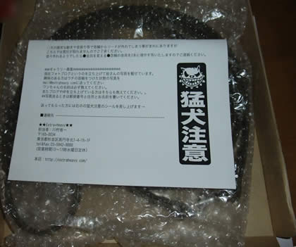 2010083104.jpg