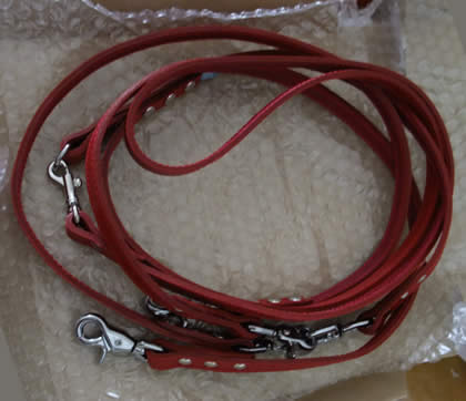 2010083105.jpg