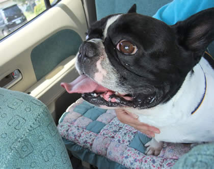 2010083107.jpg